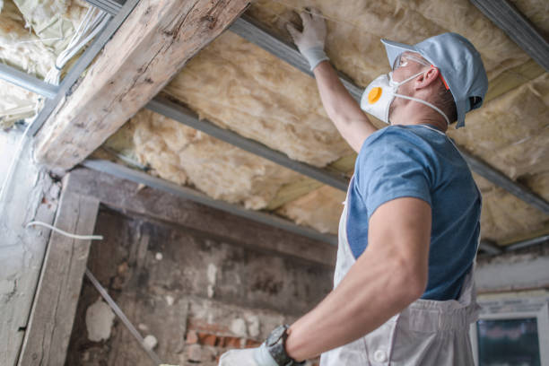 Best Insulation Inspection Services  in Frazer, PA