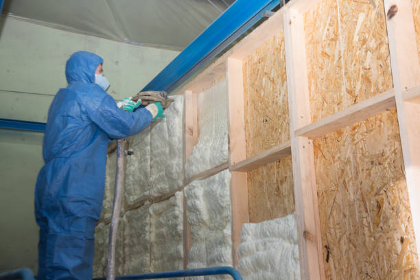 Best Insulation Repair Services  in Frazer, PA