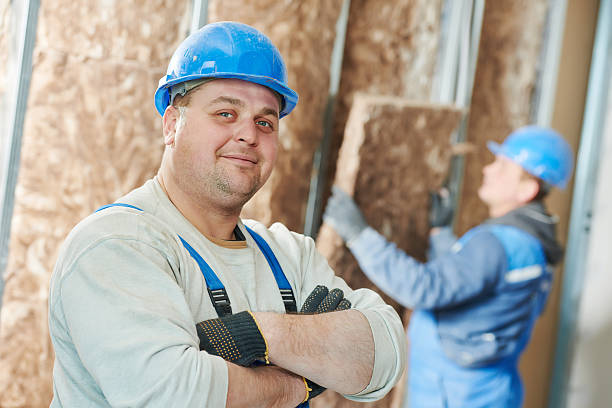 Best Cellulose Insulation  in Frazer, PA
