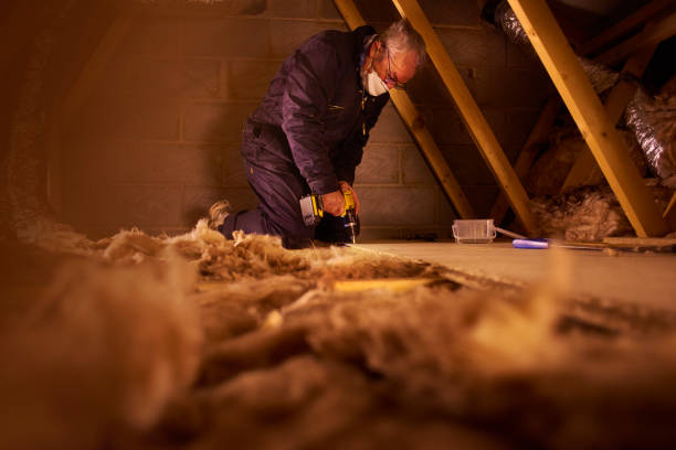 Best Local Insulation Services  in Frazer, PA